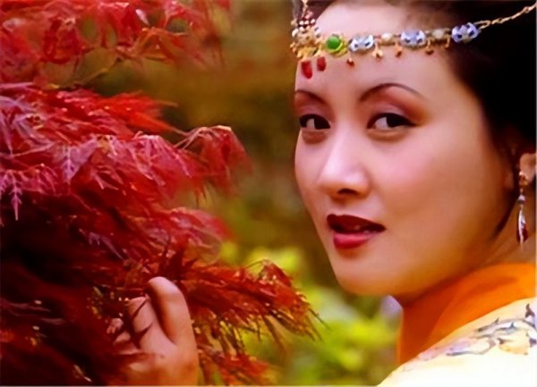 红楼梦有多少个人物