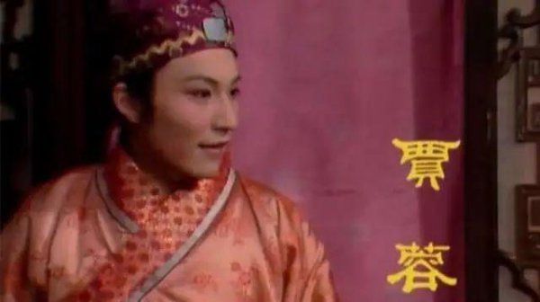 贾珍的父亲是个什么样的人