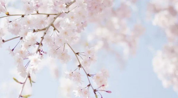 山海经里好听的名字