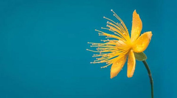 山海经里好听的名字