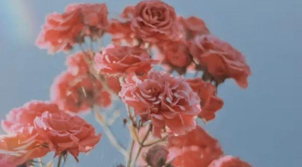 山海经里好听的名字