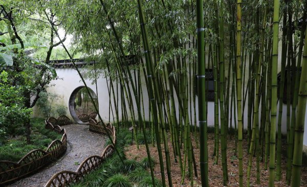 诗词涉及竹的诗句是哪一句