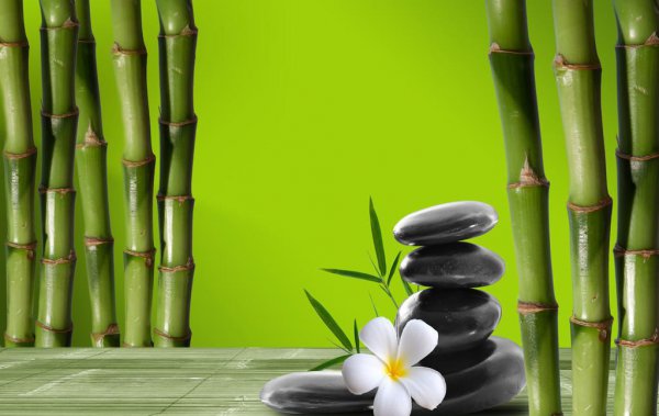 诗词涉及竹的诗句是哪一句