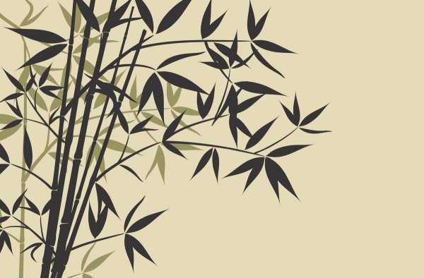 诗词涉及竹的诗句是哪一句