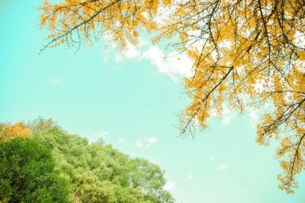 绝美古诗词欣赏