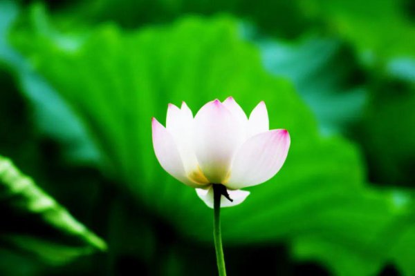 绝美古诗词欣赏