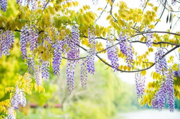 绝美古诗词欣赏