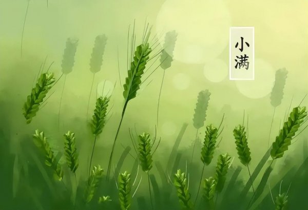 关于小满节气的谚语或知识