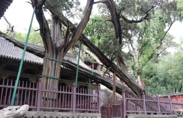 晋祠三绝是什么