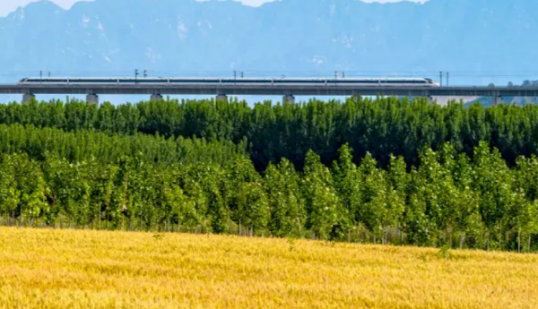 描写芒种的优美诗句名言