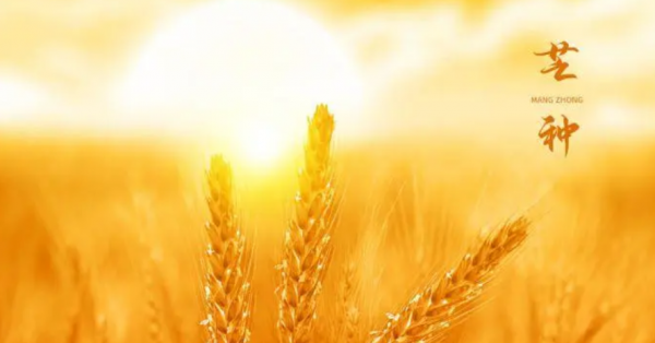 描写芒种的优美诗句名言
