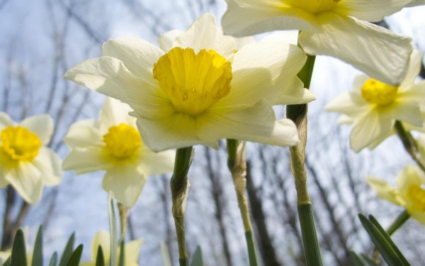 天秤男一见钟情的星座女