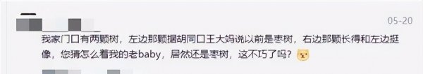 天临四年是啥意思