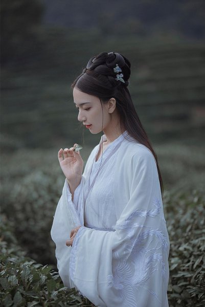 李白最著名的一首诗