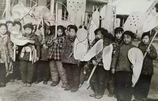 1958年除四害是哪四害