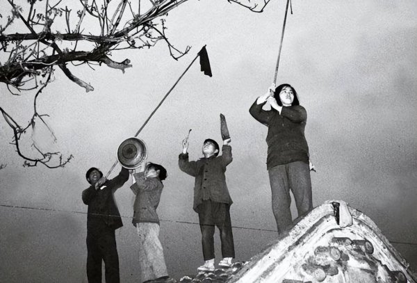 1958年除四害是哪四害