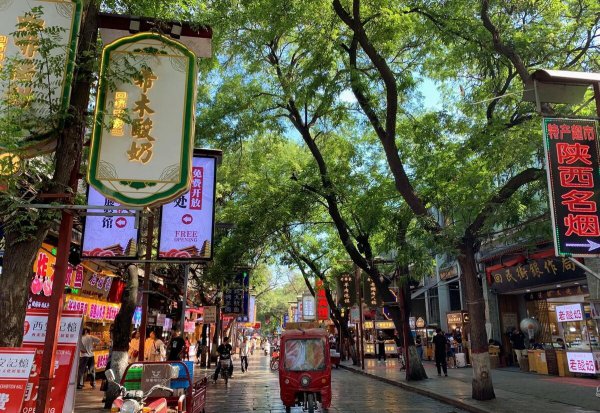 全国去哪里旅游实惠又好玩