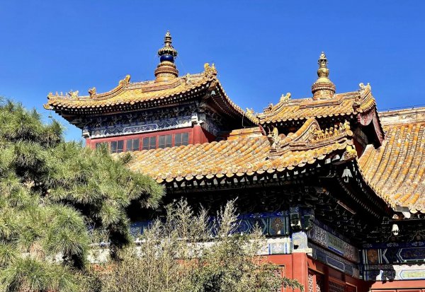 中国十大旅游城市景点排名