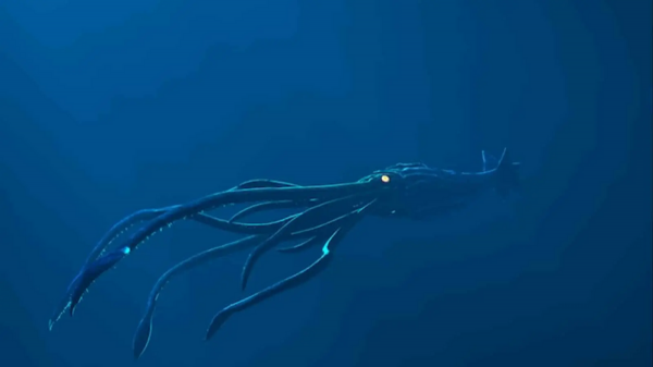 方舟生存进化十大稀有龙