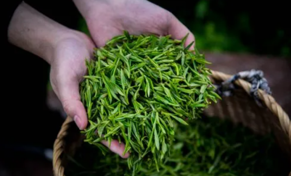 茶桌主人面向哪个方向摆放