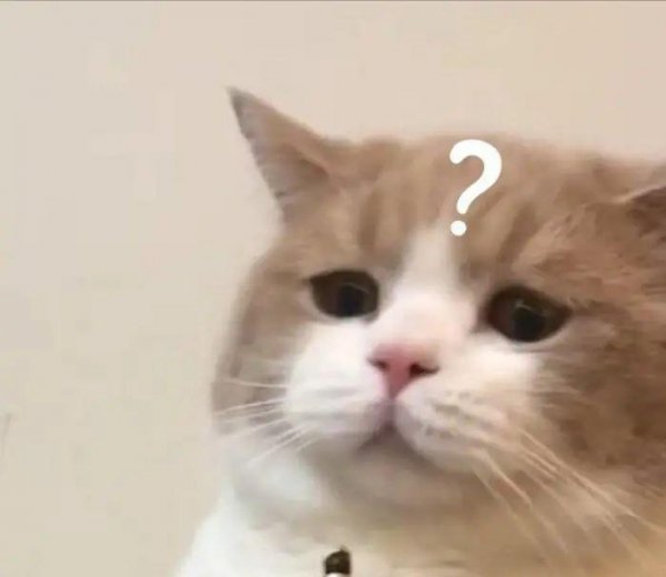 老爹鞋什么意思介绍