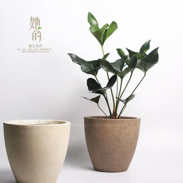 镁泥花盆优缺点是什么