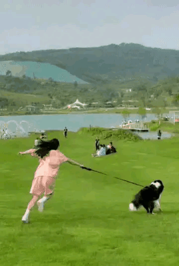 遛狗一般多长时间