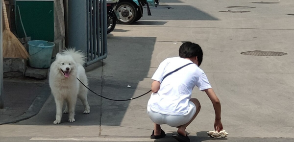 遛狗一般多长时间