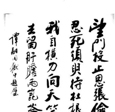 去留肝胆两昆仑的上一句是什么么意思