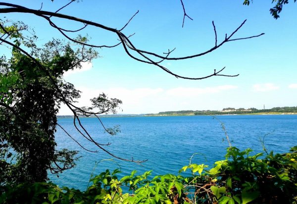 面朝大海春暖花开诗歌赏析