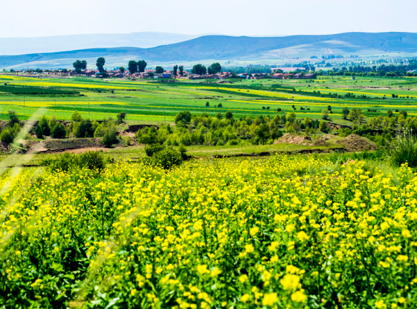 孟浩然的主要作品有哪些古诗名句