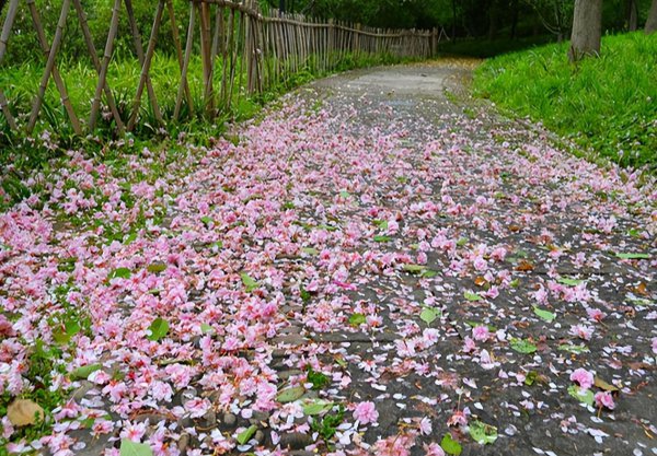 孟浩然的主要作品有哪些古诗名句
