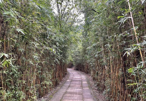 德阳落凤坡在哪里