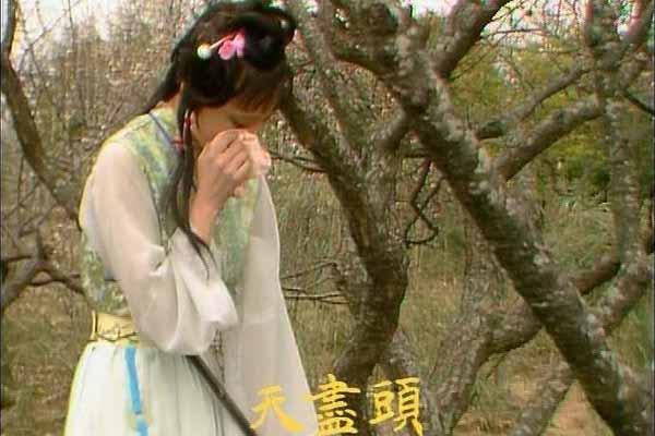 红楼梦林黛玉葬花的原因