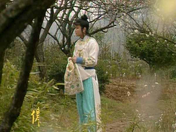 红楼梦林黛玉葬花的原因