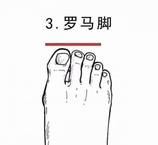 什么样的脚型最好看