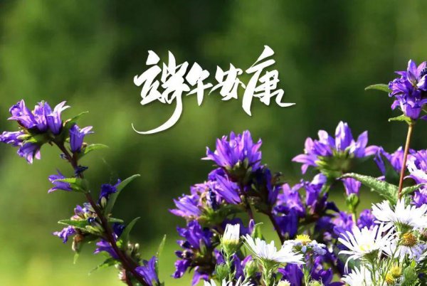 关于端午节的古诗有哪些