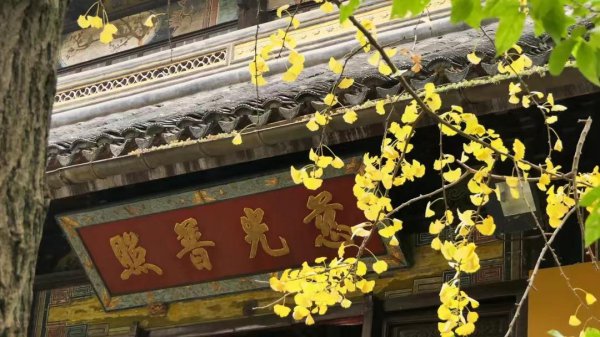 居士指的是什么人物