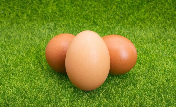 鸡蛋打开蛋黄是散的但是不臭还能吃吗