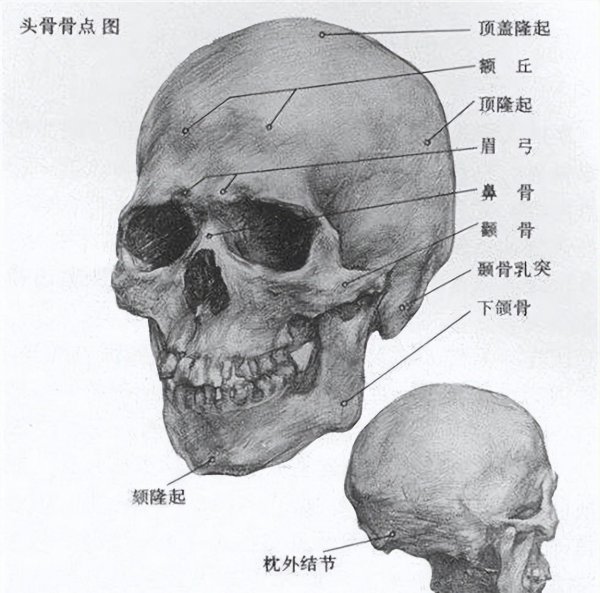 美人在骨不在皮这句话怎么解释