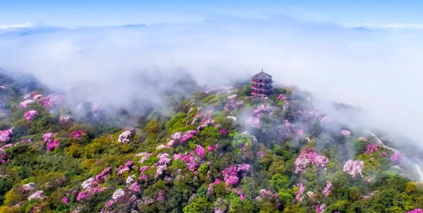 送别李叔同原文及翻译