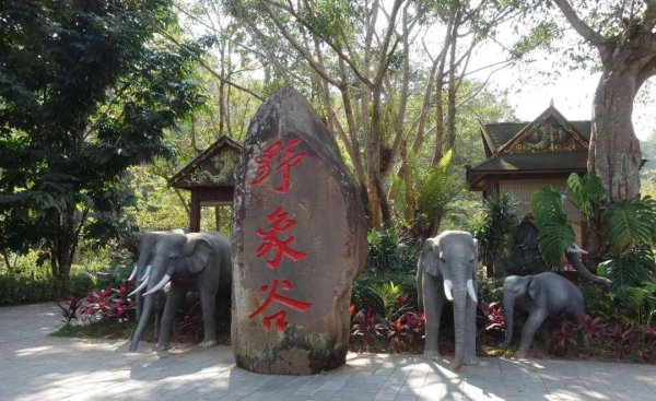 西双版纳泼水节是几月几号