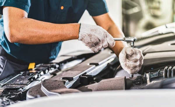 低学历可以在家自学考什么证