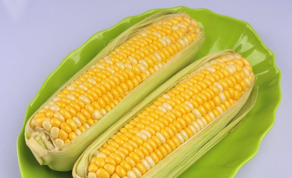 高产玉米种子十大品种