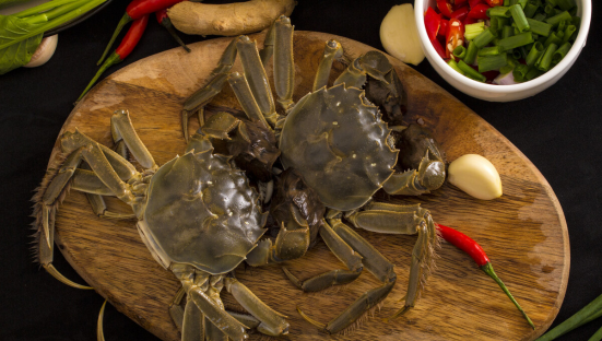 全国大闸蟹有哪些产地名称