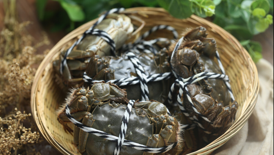 全国大闸蟹有哪些产地名称