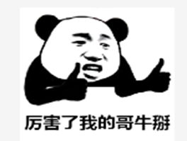 欧拉是什么意思