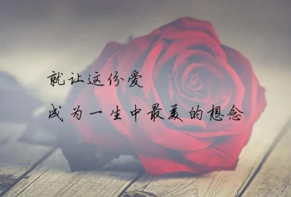 太想念词曲作者龙军简介