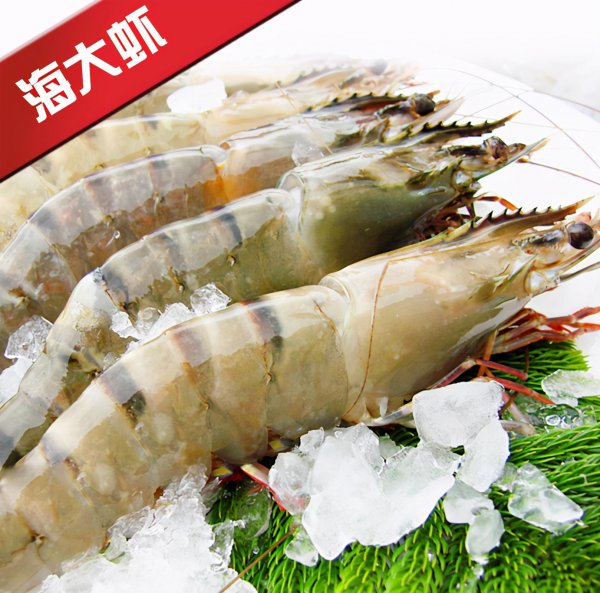 海水虾和淡水虾有什么区别图片