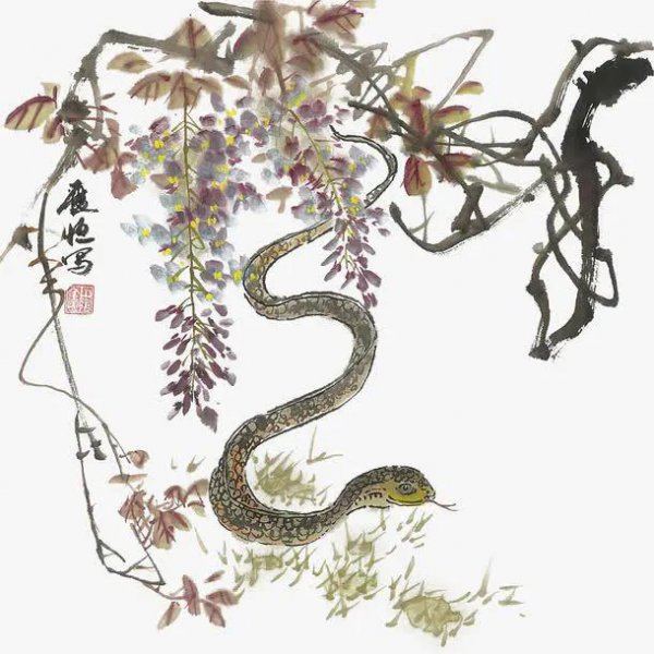 读心术最厉害的生肖女